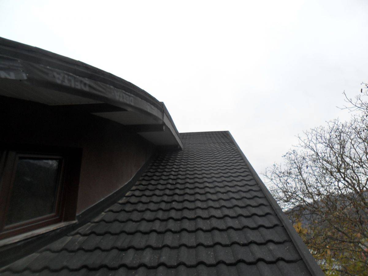 Single-family house