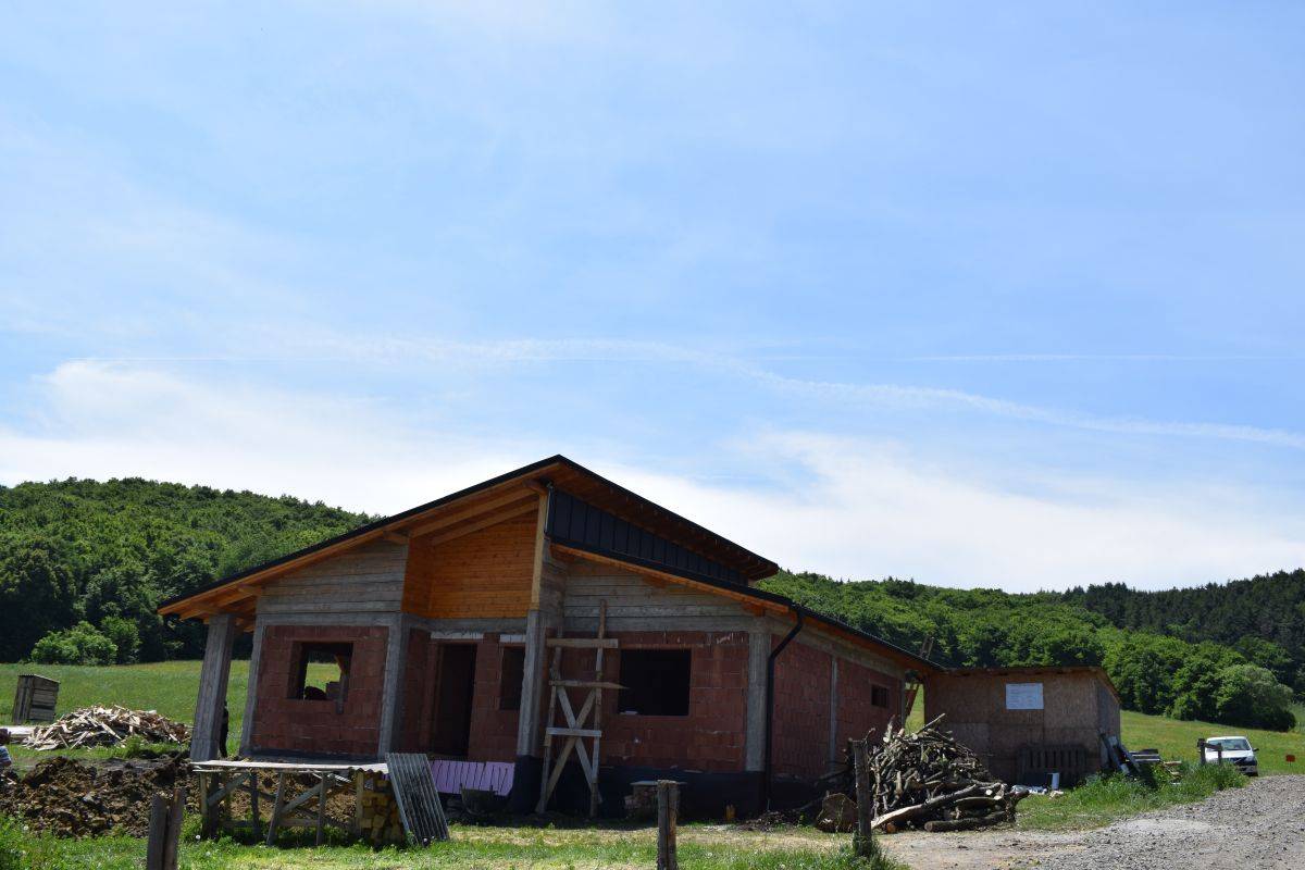 Single-family house