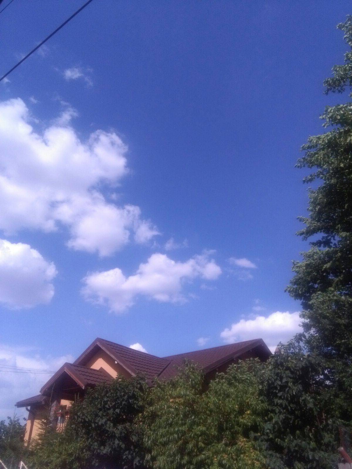 Single-family house