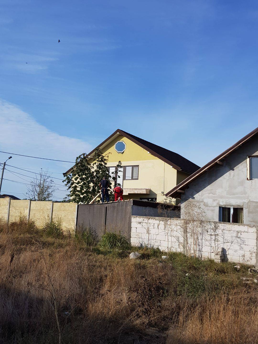 Single-family house