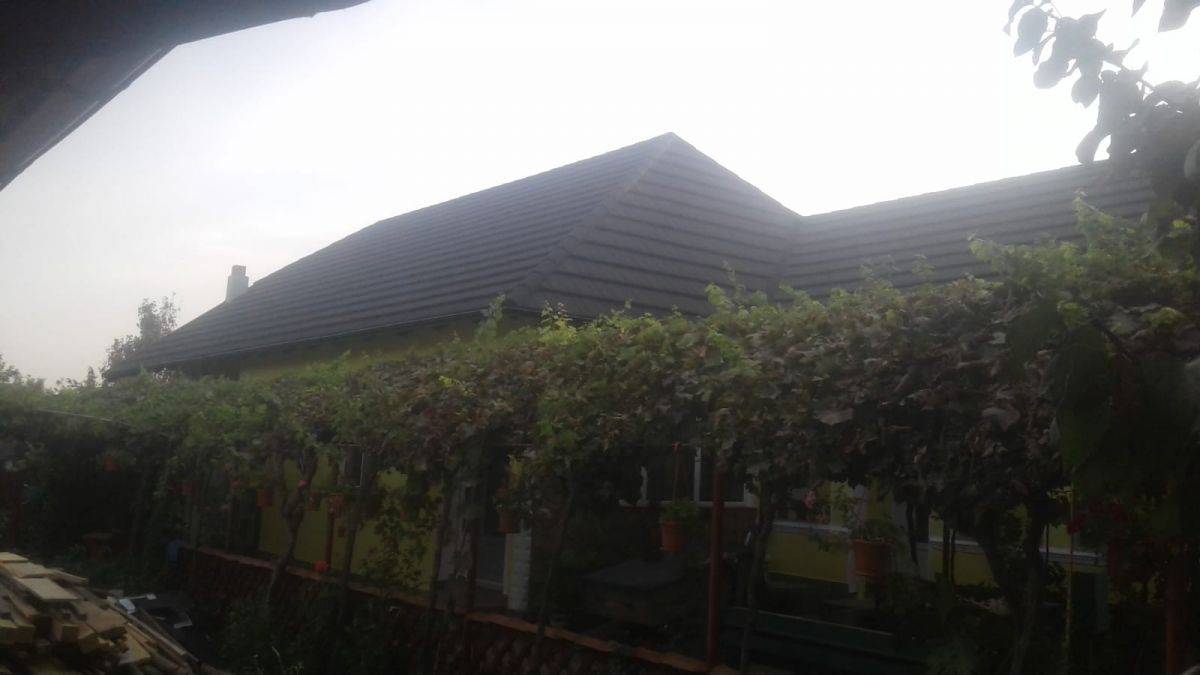 Single-family house