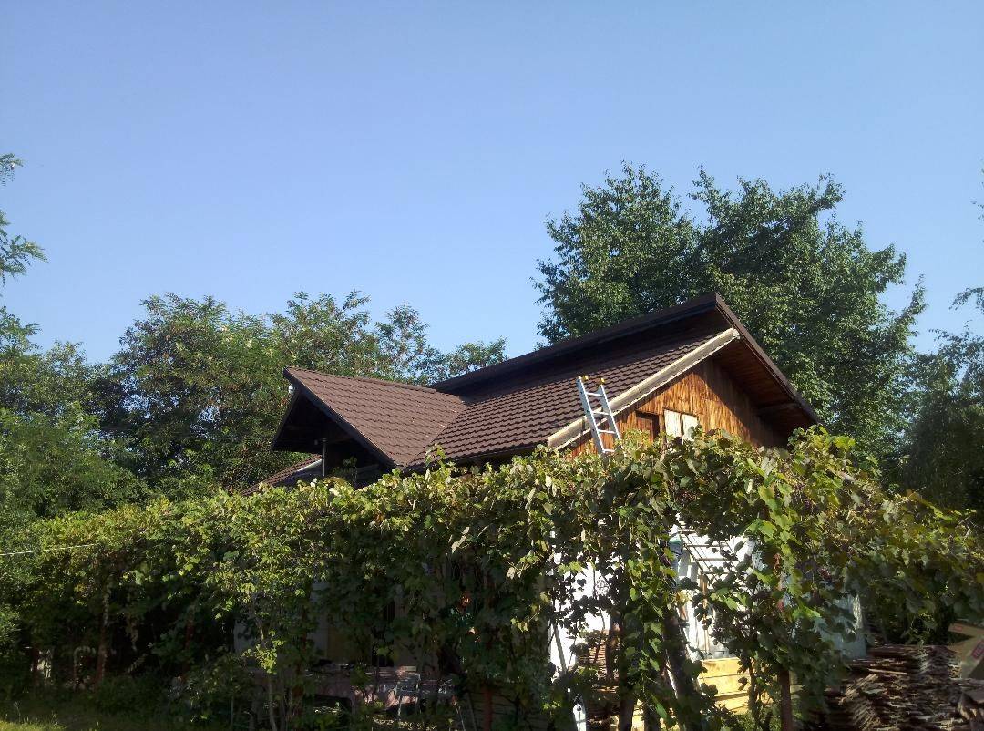 Single-family house