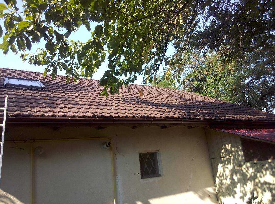 Single-family house