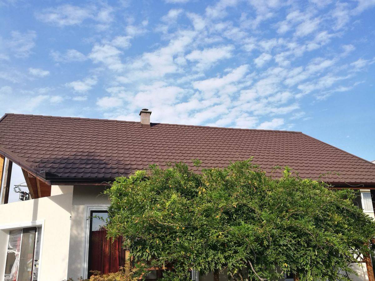 Single-family house