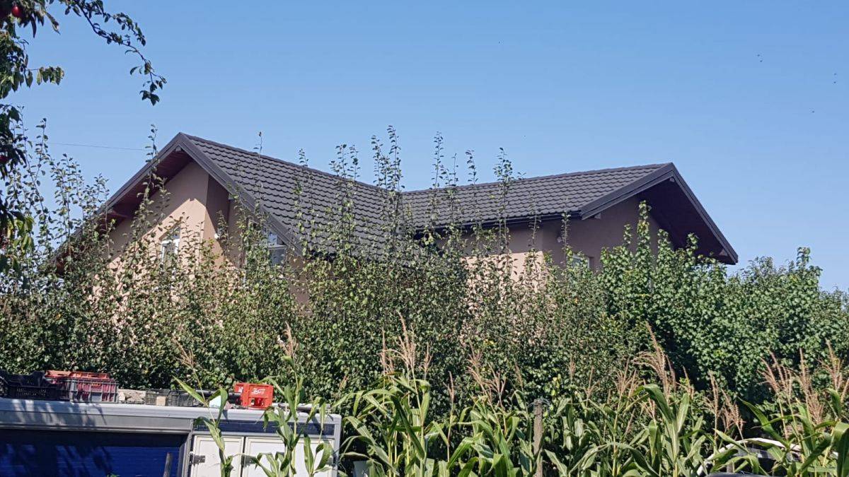 Single-family house