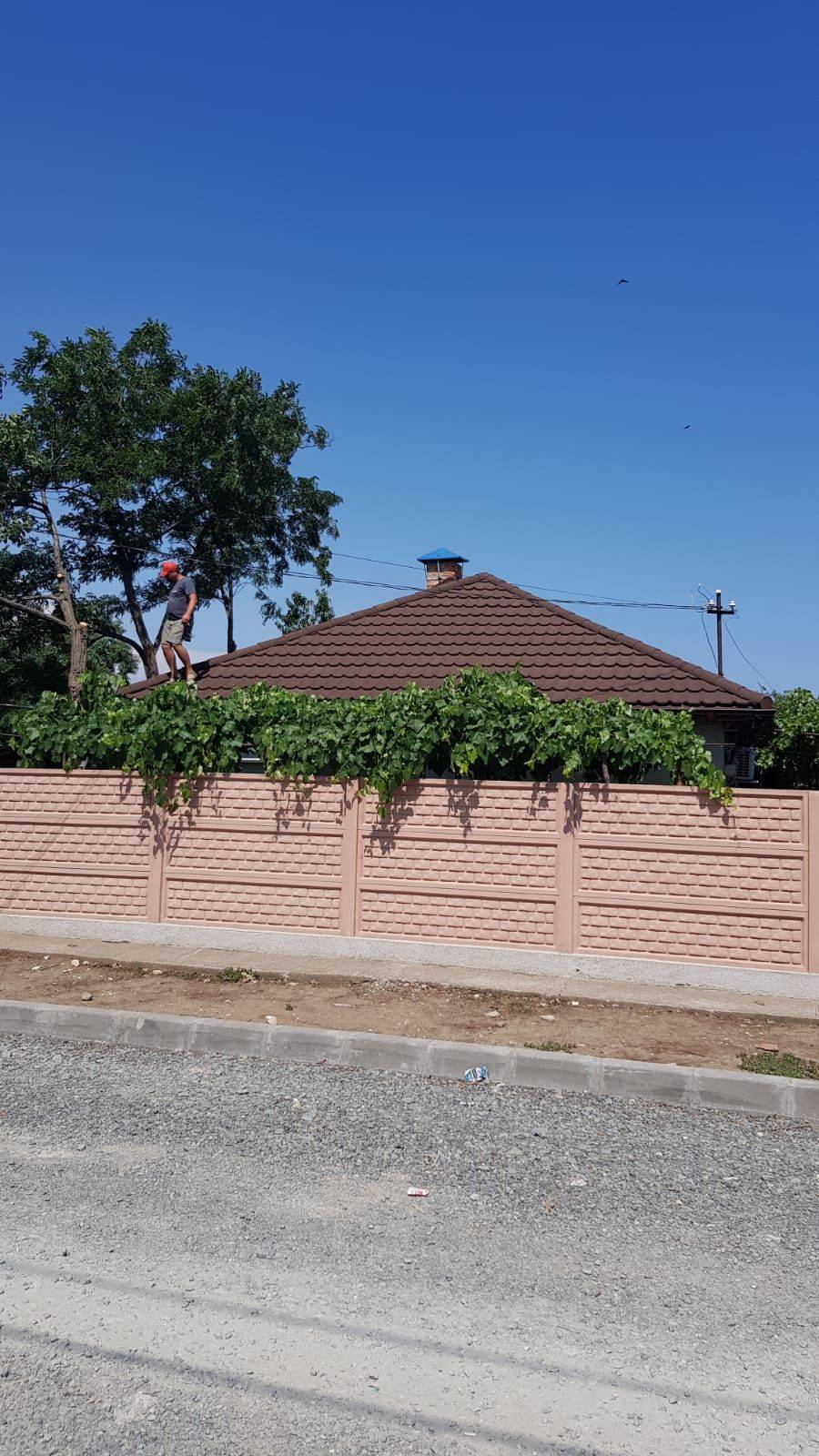 Single-family house