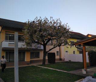 Večstanovanjska hiša