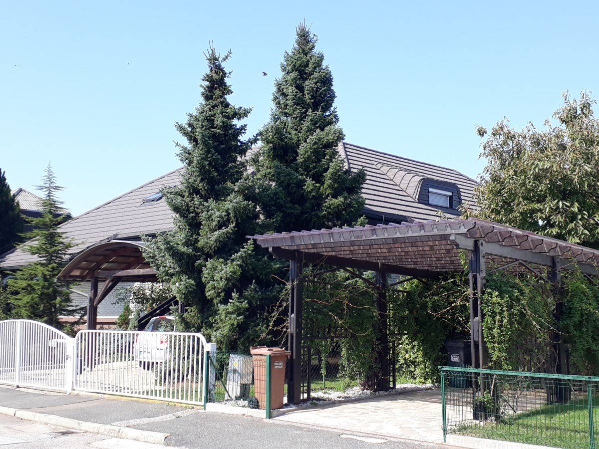 Enodružinska hiša