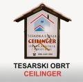 Tesarski obrt Ljubomir Ceilinger