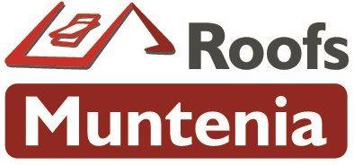Muntenia Roofs Team